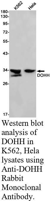 生物相关数据