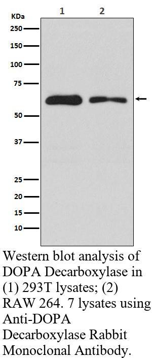 生物相关数据