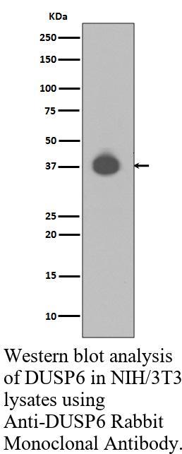 生物相关数据