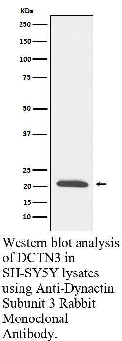 生物相关数据