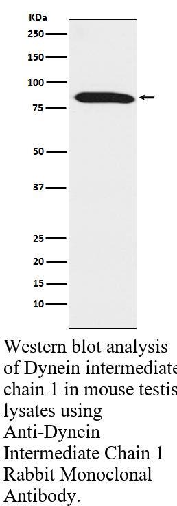 生物相关数据