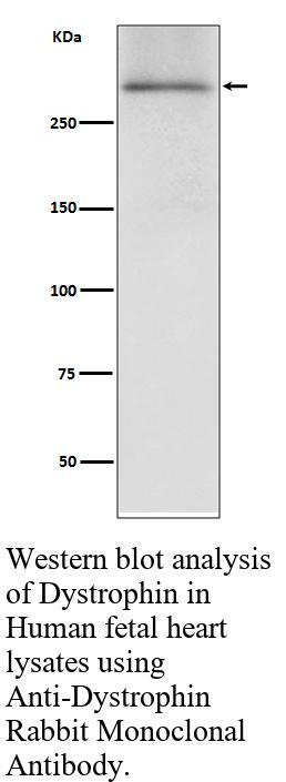 生物相关数据