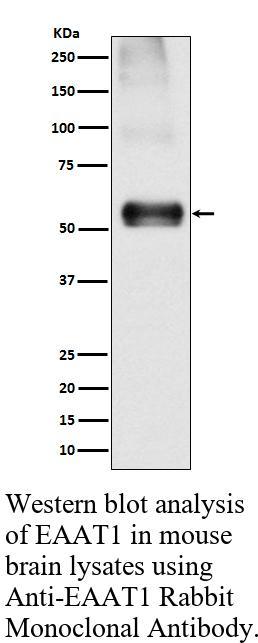 生物相关数据