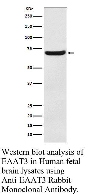 生物相关数据