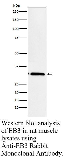 生物相关数据
