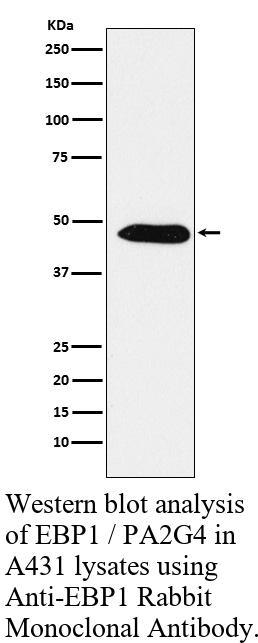 生物相关数据