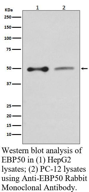 生物相关数据