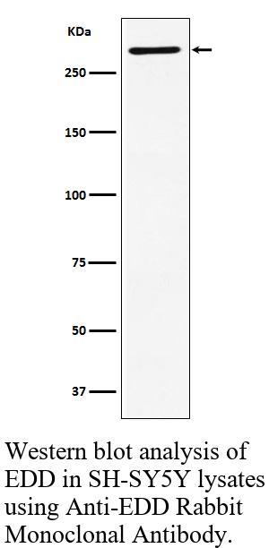生物相关数据