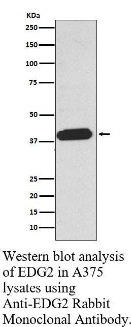 生物相关数据