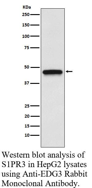 生物相关数据