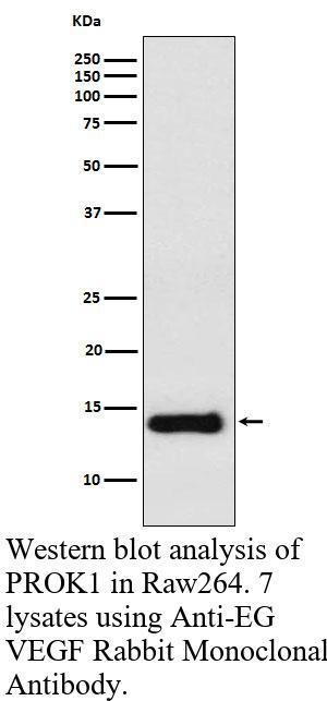 生物相关数据
