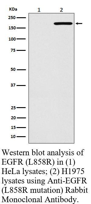 生物相关数据