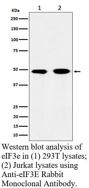 生物相关数据