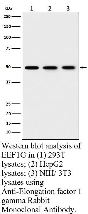 生物相关数据