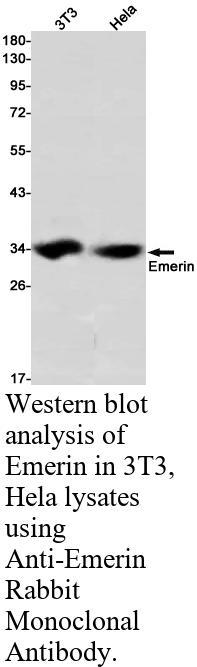 生物相关数据