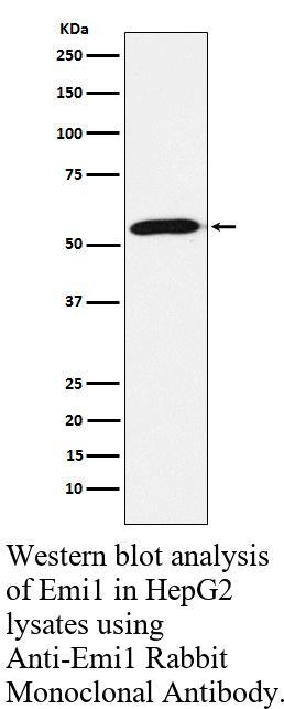 生物相关数据