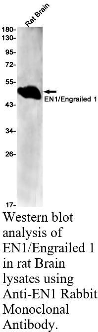 生物相关数据
