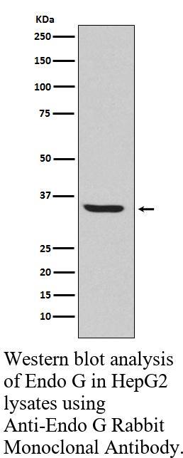 生物相关数据