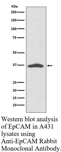 生物相关数据