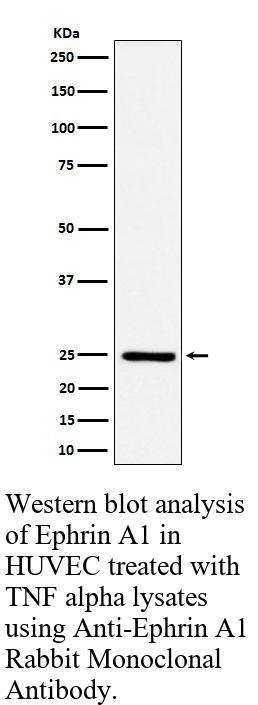 生物相关数据