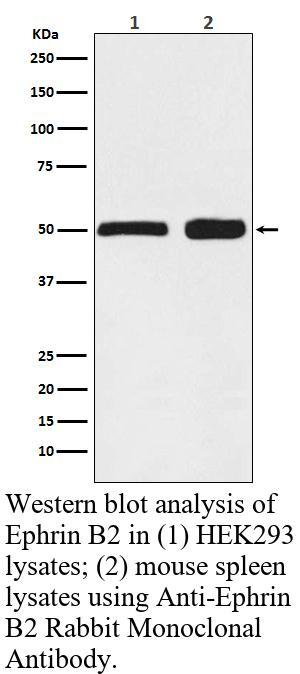 生物相关数据
