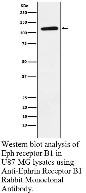 生物相关数据