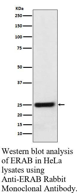 生物相关数据
