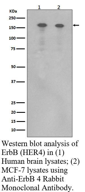 生物相关数据