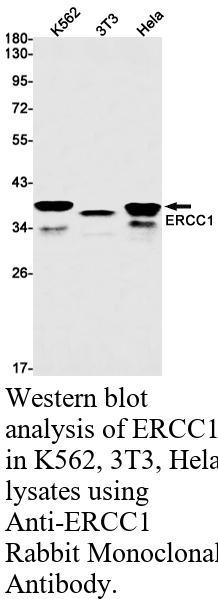 生物相关数据