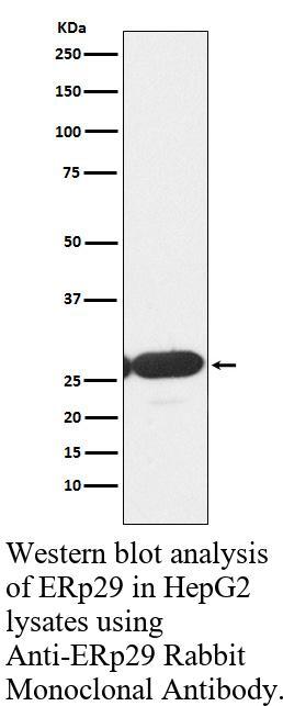 生物相关数据