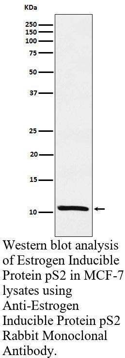生物相关数据