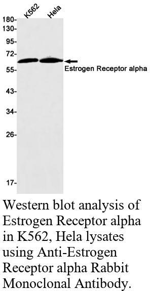 生物相关数据
