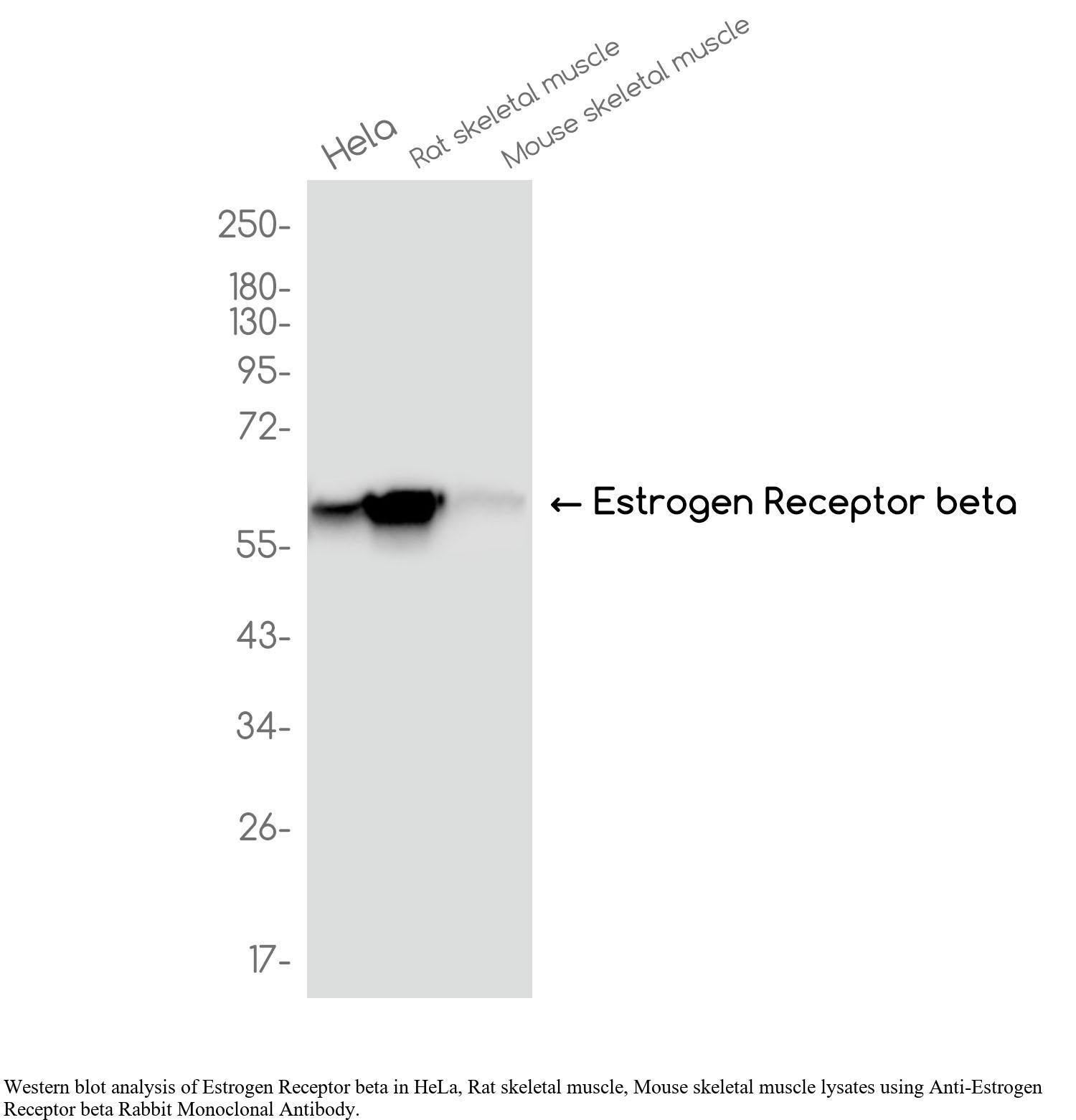 生物相关数据
