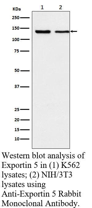 生物相关数据