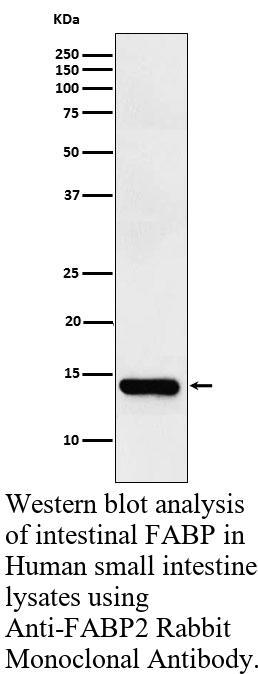 生物相关数据