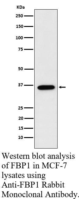 生物相关数据
