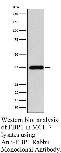 生物相关数据