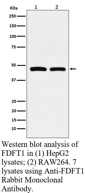 生物相关数据