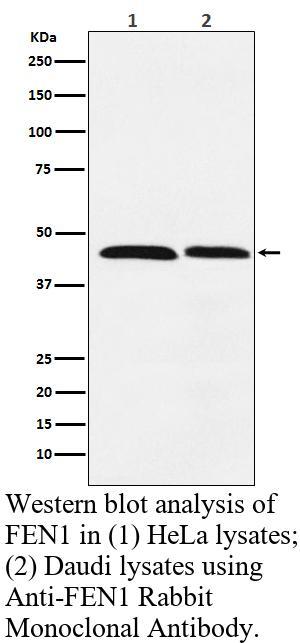 生物相关数据