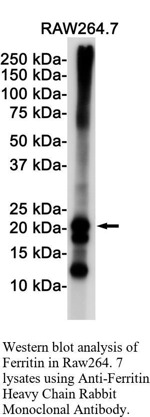 生物相关数据