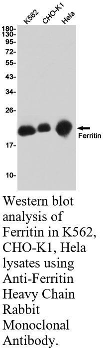 生物相关数据