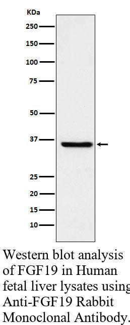 生物相关数据