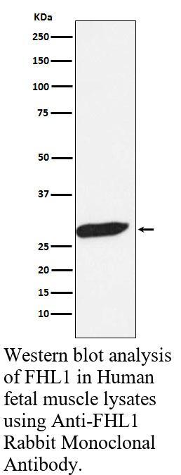 生物相关数据