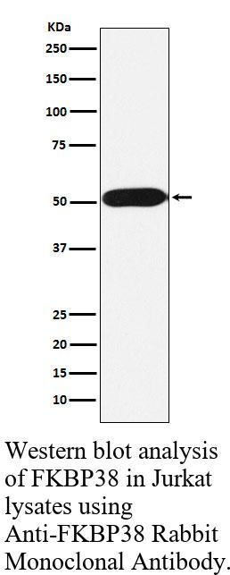 生物相关数据