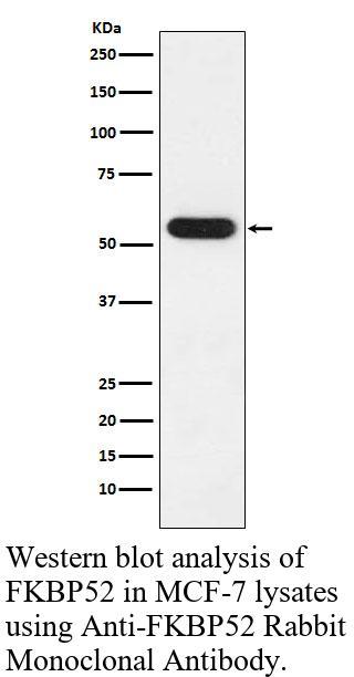 生物相关数据
