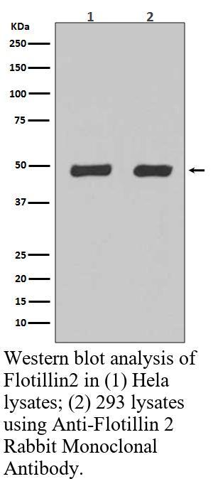 生物相关数据