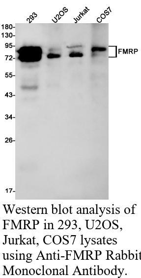 生物相关数据