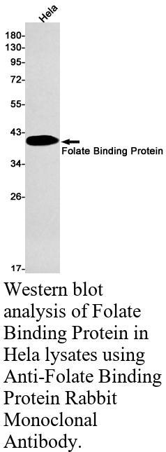 生物相关数据