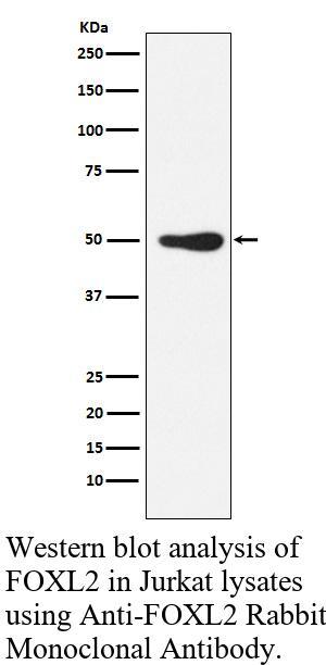 生物相关数据