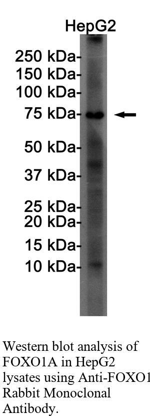 生物相关数据